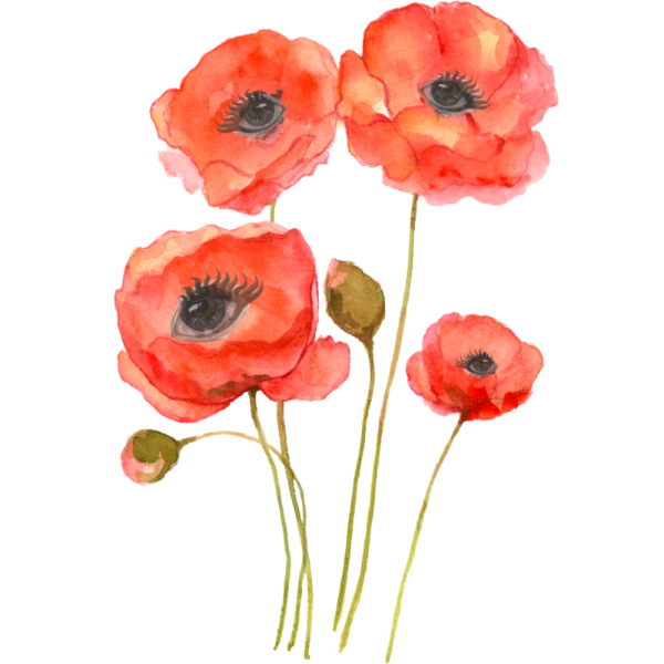 Ghoulish Garden Tall Poppy