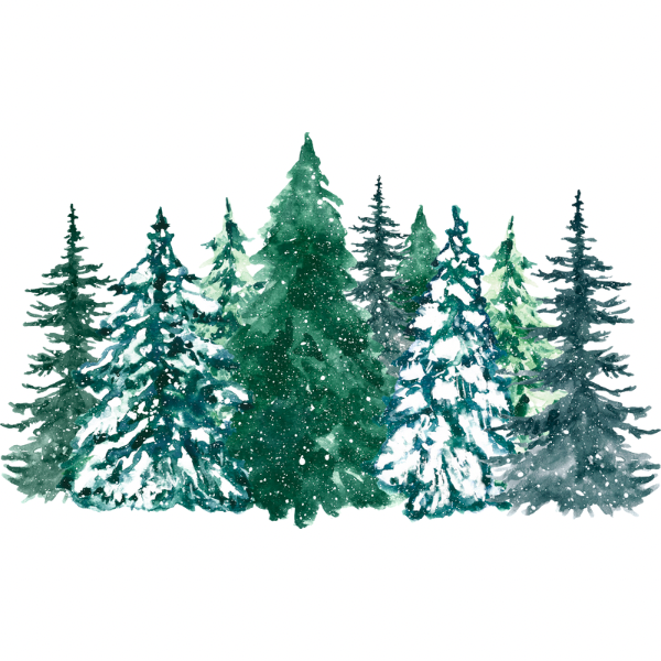 Winter Trees