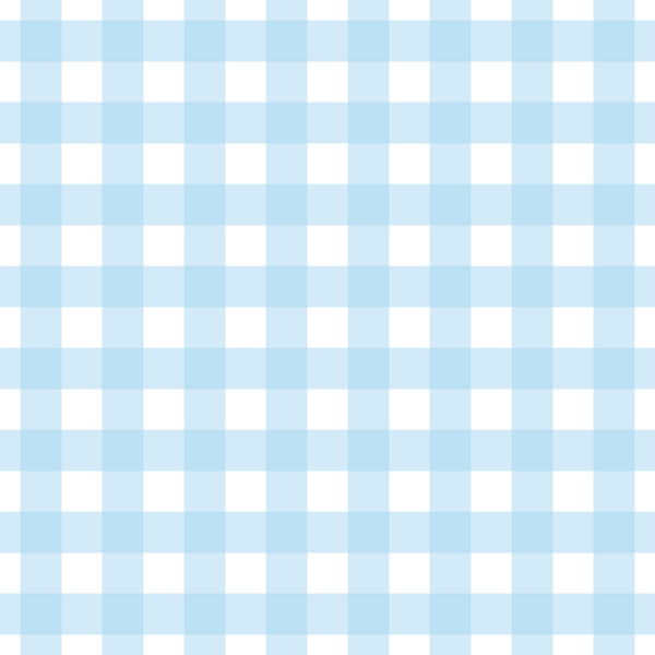 Sky Blue Gingham