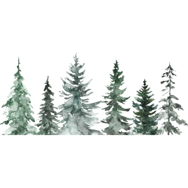 Pine Tree Line
