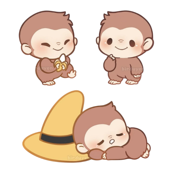 Curious Monkey