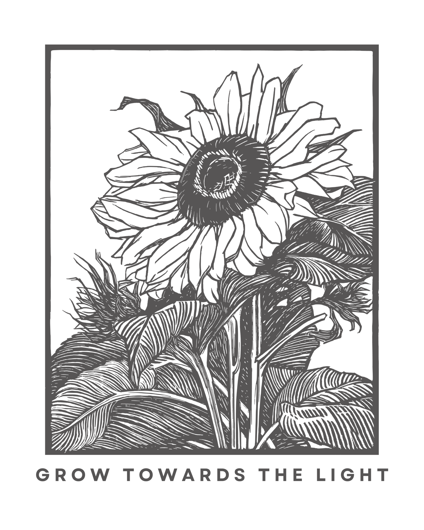 Grow Towards the Light