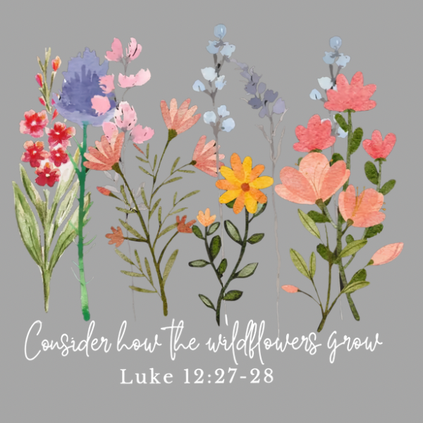 Consider the Wildflowers