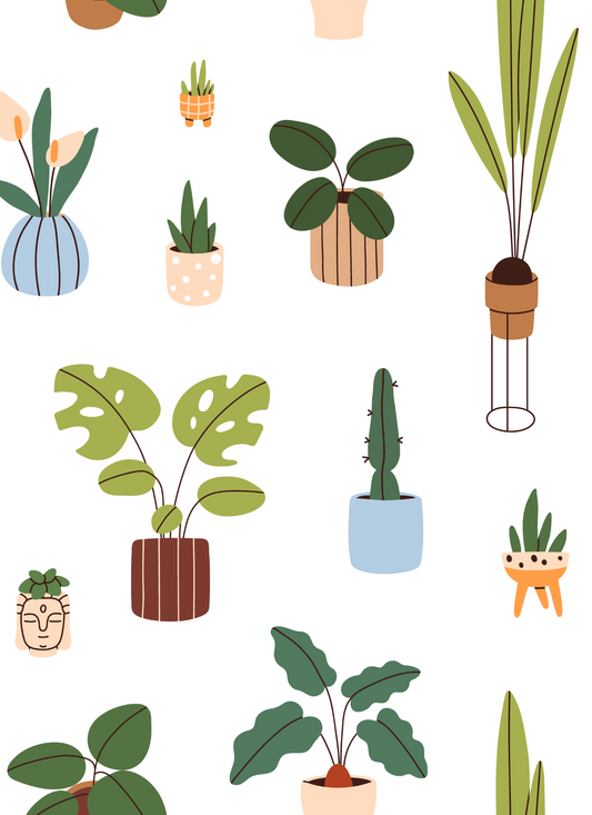 Potted Plants 1