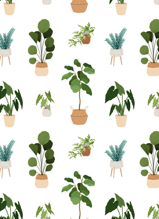 Potted Plants 2