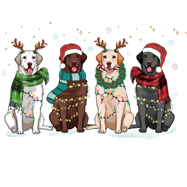 Labrador Holiday