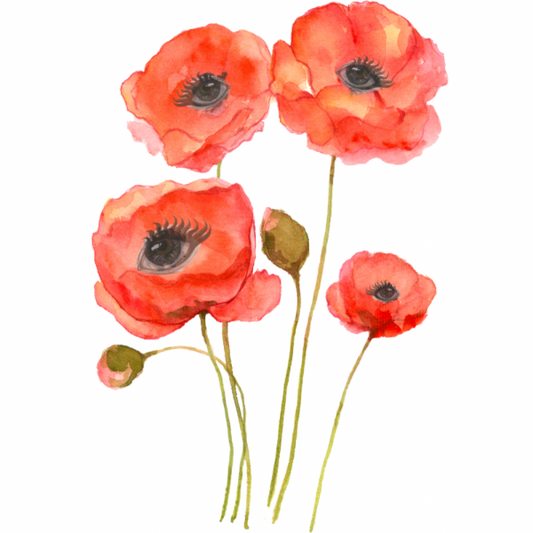 Ghoulish Garden Tall Poppy