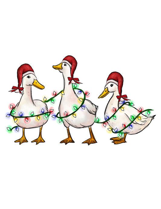 Winter Ducks
