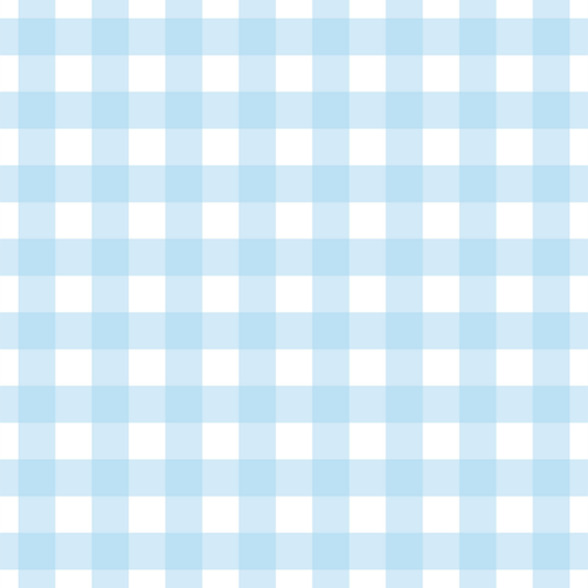 Sky Blue Gingham