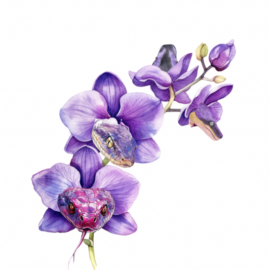Ghoulish Garden Orchid