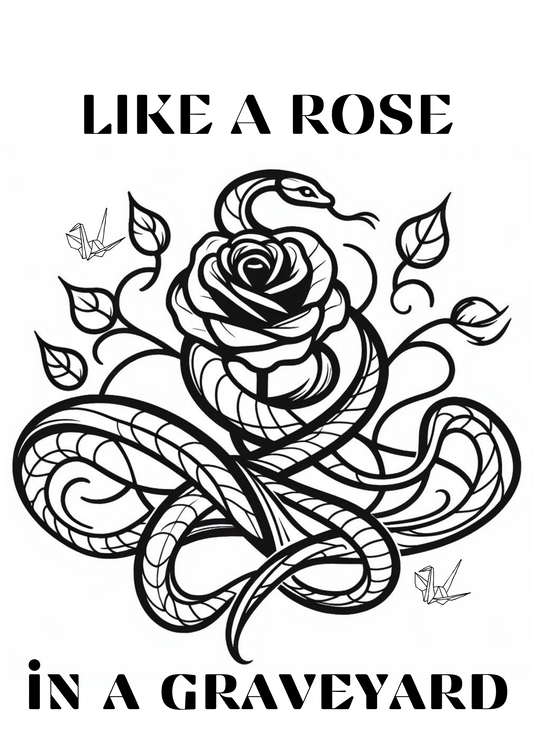 Rose in a Graveyard