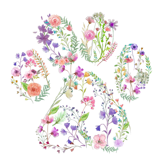 Floral Paw