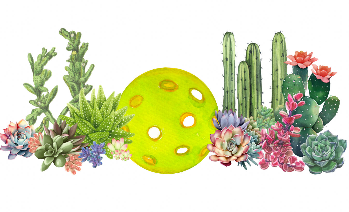 Cactus Banner