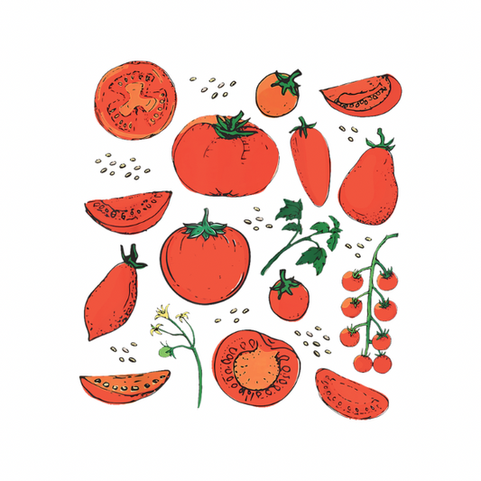 Vintage Red Tomatoes