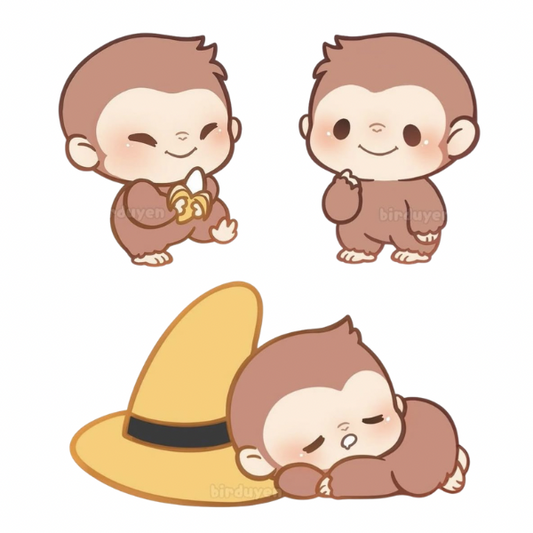 Curious Monkey