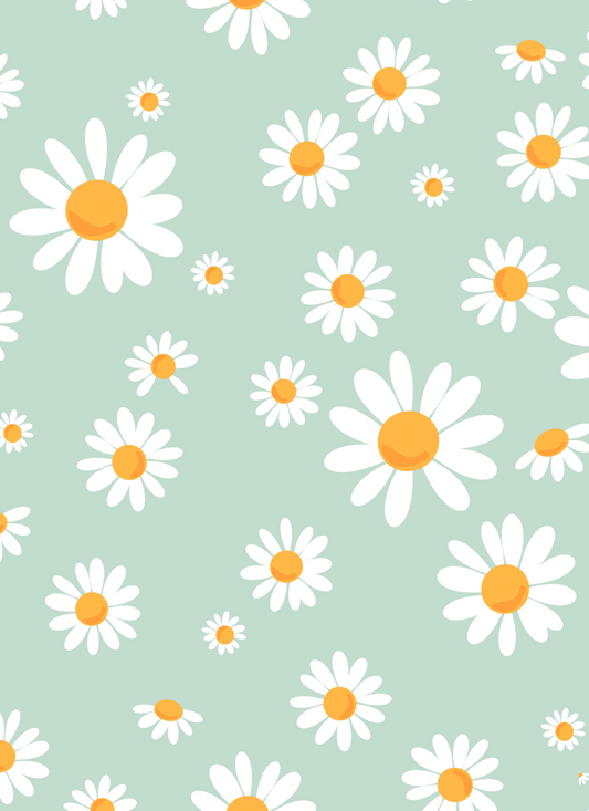 Daisies