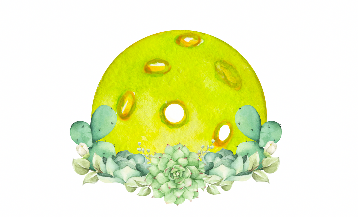 Cactus Ball Lower