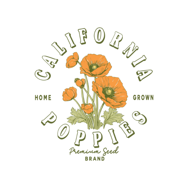 Poppies