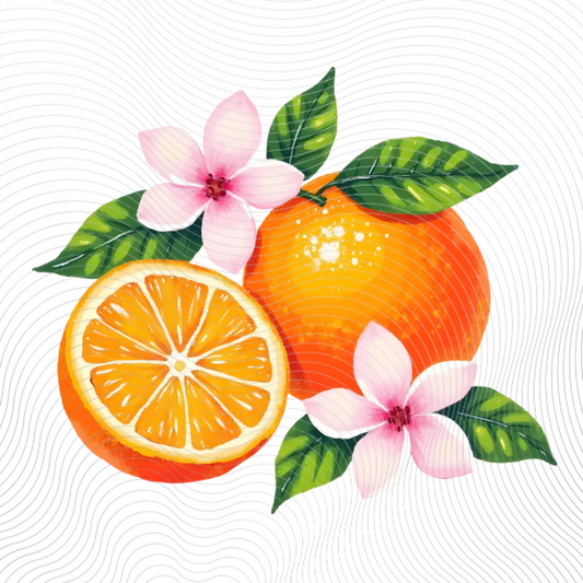 Summer Oranges
