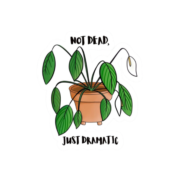 Not Dead