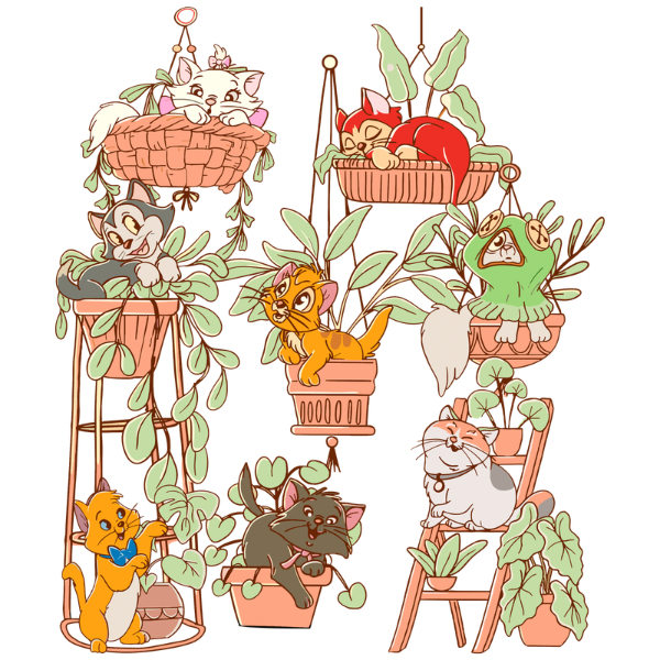 Plants and Kitties