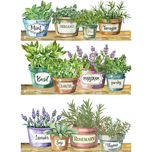 Herb Shelves